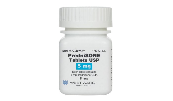 Prednisone cats dosage medication petcoach corticosteroid general