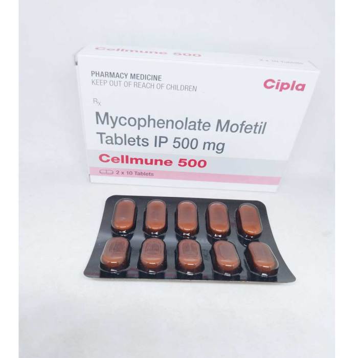 Mycophenolate