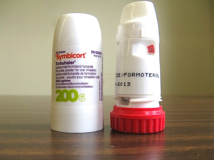 Symbicort inhaler