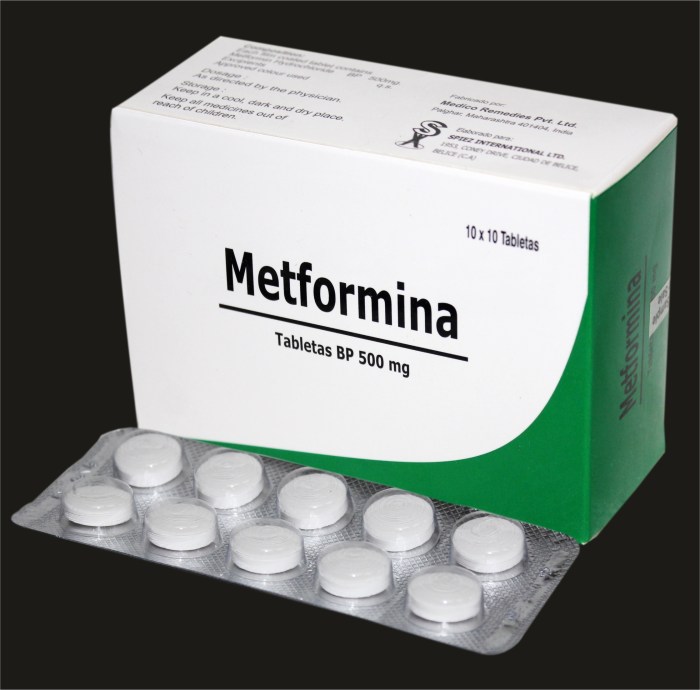 Metformin 500 mg